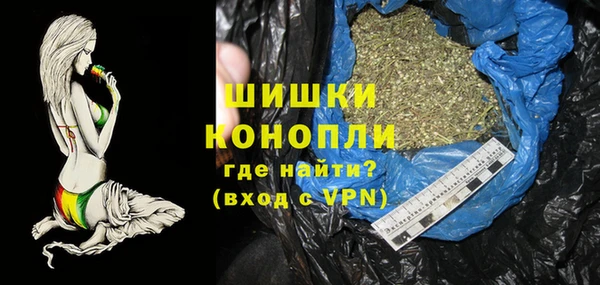 молекула духа Покров